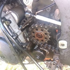 Meet your Posher, Cody